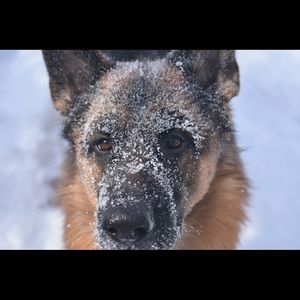 Meet your Posher, Jana